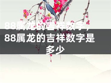 88属龙的吉祥数字，88属龙的吉祥数字是多少