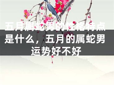 五月属蛇男的性格特点是什么，五月的属蛇男运势好不好