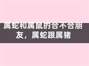 属蛇和属鼠的合不合朋友，属蛇跟属猪