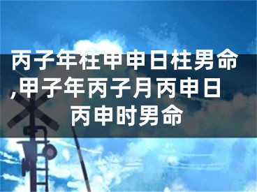 丙子年柱甲申日柱男命,甲子年丙子月丙申日丙申时男命