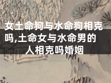 女土命狗与水命狗相克吗,土命女与水命男的人相克吗婚姻