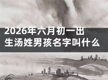 2026年六月初一出生汤姓男孩名字叫什么