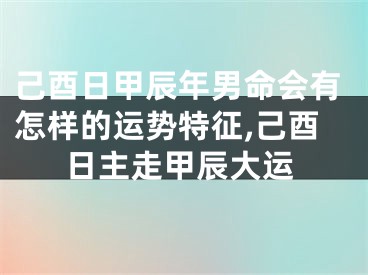 己酉日甲辰年男命会有怎样的运势特征,己酉日主走甲辰大运