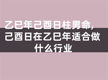 乙巳年己酉日柱男命,己酉日在乙巳年适合做什么行业