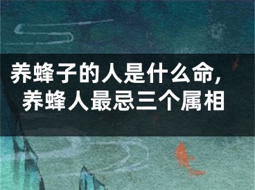 养蜂子的人是什么命,养蜂人最忌三个属相