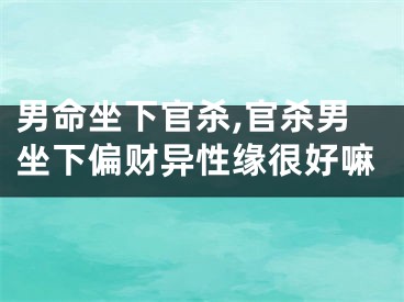 男命坐下官杀,官杀男坐下偏财异性缘很好嘛