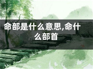 命部是什么意思,命什么部首