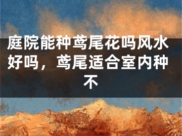 庭院能种鸢尾花吗风水好吗，鸢尾适合室内种不