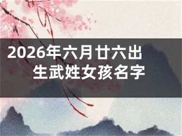 2026年六月廿六出生武姓女孩名字