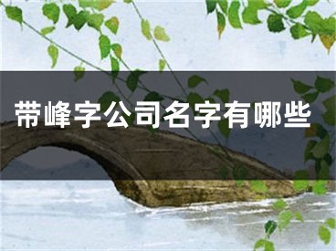 带峰字公司名字有哪些