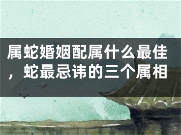 属蛇婚姻配属什么最佳，蛇最忌讳的三个属相