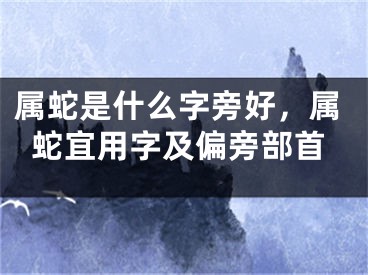 属蛇是什么字旁好，属蛇宜用字及偏旁部首