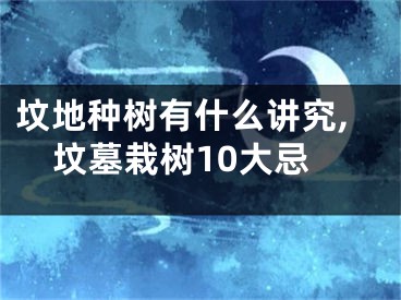 坟地种树有什么讲究,坟墓栽树10大忌