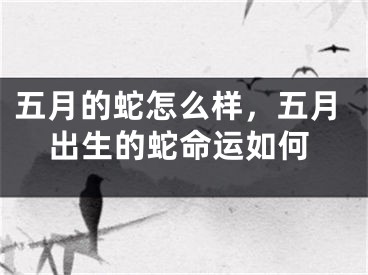 五月的蛇怎么样，五月出生的蛇命运如何