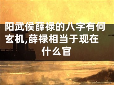 阳武侯薛禄的八字有何玄机,薛禄相当于现在什么官