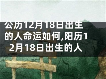 公历12月18日出生的人命运如何,阳历12月18日出生的人