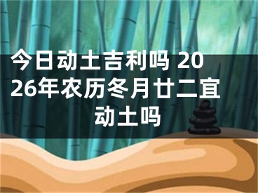 今日动土吉利吗 2026年农历冬月廿二宜动土吗