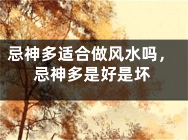 忌神多适合做风水吗，忌神多是好是坏