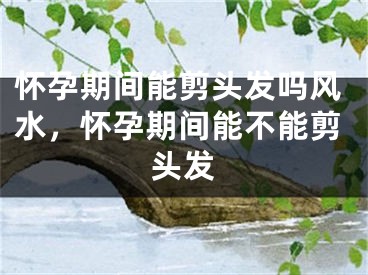 怀孕期间能剪头发吗风水，怀孕期间能不能剪头发