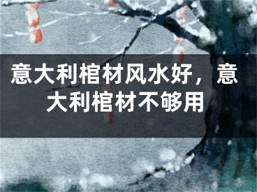 意大利棺材风水好，意大利棺材不够用