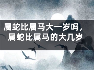 属蛇比属马大一岁吗，属蛇比属马的大几岁