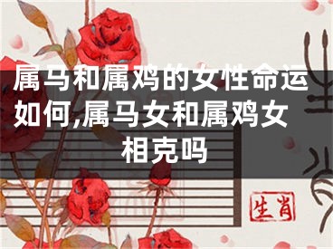 属马和属鸡的女性命运如何,属马女和属鸡女相克吗