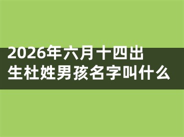 2026年六月十四出生杜姓男孩名字叫什么