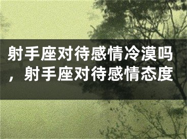 射手座对待感情冷漠吗，射手座对待感情态度
