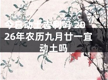 今日动土吉利吗 2026年农历九月廿一宜动土吗