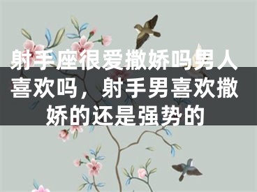 射手座很爱撒娇吗男人喜欢吗，射手男喜欢撒娇的还是强势的