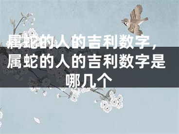 属蛇的人的吉利数字，属蛇的人的吉利数字是哪几个