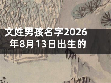 文姓男孩名字2026年8月13日出生的