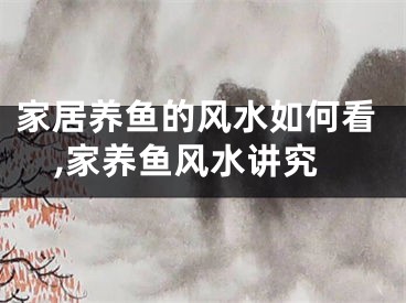 家居养鱼的风水如何看,家养鱼风水讲究