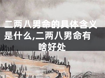 二两八男命的具体含义是什么,二两八男命有啥好处