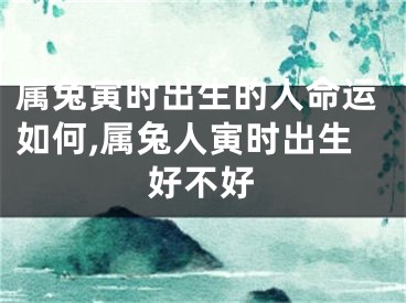 属兔寅时出生的人命运如何,属兔人寅时出生好不好