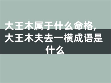 大王木属于什么命格,大王木夫去一横成语是什么