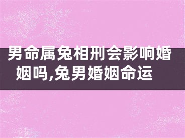 男命属兔相刑会影响婚姻吗,兔男婚姻命运