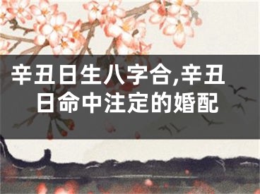 辛丑日生八字合,辛丑日命中注定的婚配