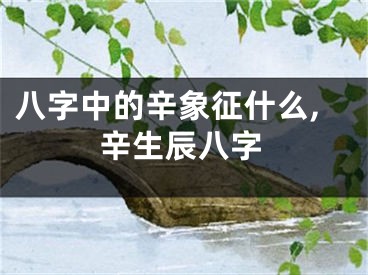 八字中的辛象征什么,辛生辰八字