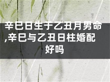 辛巳日生于乙丑月男命,辛巳与乙丑日柱婚配好吗