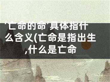 ‘亡命的命’具体指什么含义(亡命是指出生,什么是亡命