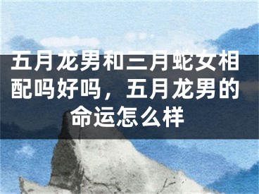 五月龙男和三月蛇女相配吗好吗，五月龙男的命运怎么样