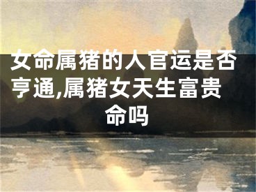 女命属猪的人官运是否亨通,属猪女天生富贵命吗