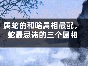 属蛇的和啥属相最配，蛇最忌讳的三个属相