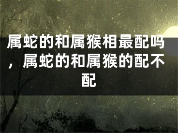 属蛇的和属猴相最配吗，属蛇的和属猴的配不配