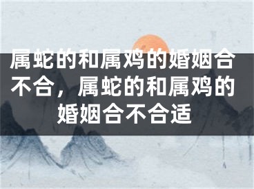 属蛇的和属鸡的婚姻合不合，属蛇的和属鸡的婚姻合不合适