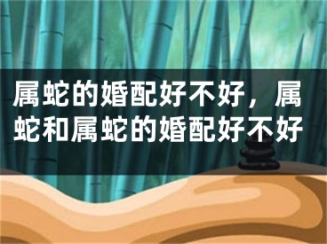 属蛇的婚配好不好，属蛇和属蛇的婚配好不好