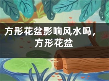 方形花盆影响风水吗，方形花盆