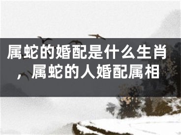 属蛇的婚配是什么生肖，属蛇的人婚配属相