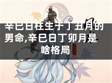 辛巳日柱生于丁丑月的男命,辛巳日丁卯月是啥格局